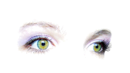 圖片6.png
